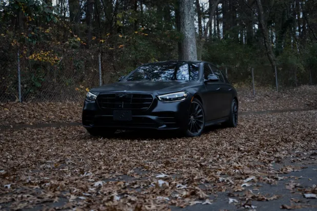 Dendy Casino Android/iOS Forrit